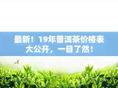 最新！19年普洱茶价格表大公开，一目了然！