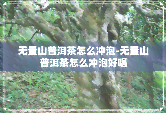 无量山普洱茶怎么冲泡-无量山普洱茶怎么冲泡好喝