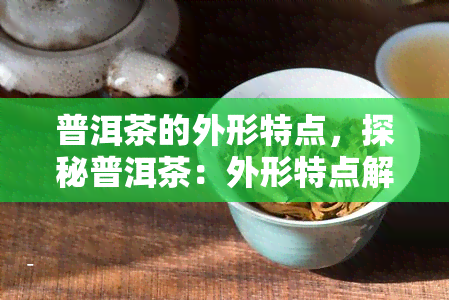 普洱茶的外形特点，探秘普洱茶：外形特点解析与品鉴技巧