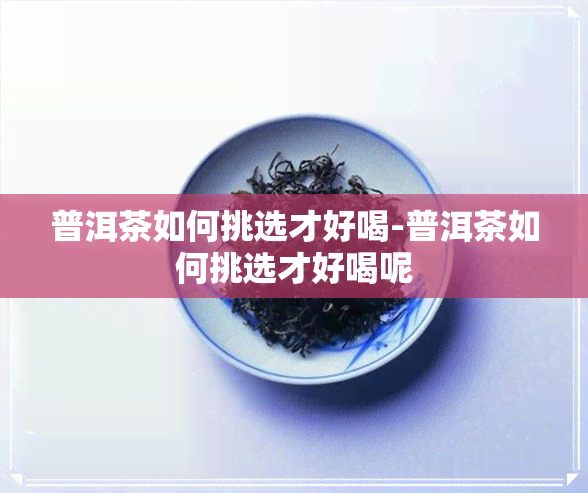 普洱茶如何挑选才好喝-普洱茶如何挑选才好喝呢