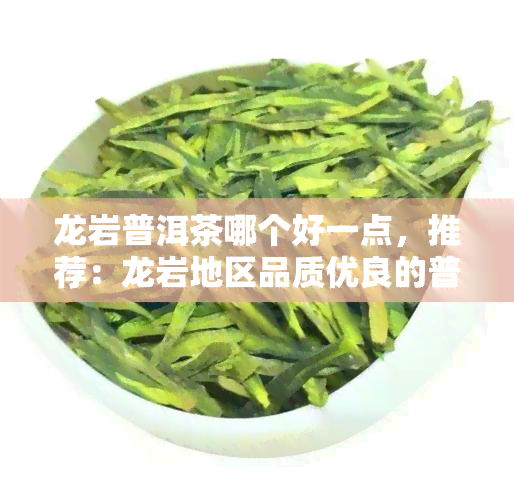 龙岩普洱茶哪个好一点，推荐：龙岩地区品质优良的普洱茶