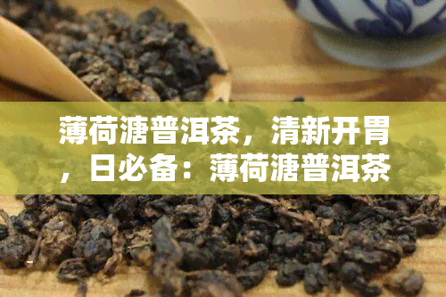 薄荷溏普洱茶，清新开胃，日必备：薄荷溏普洱茶的魅力