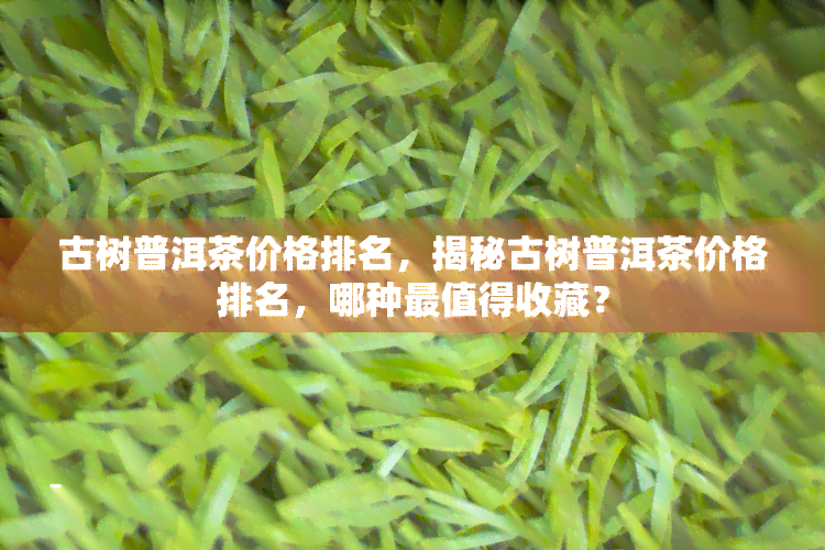 古树普洱茶价格排名，揭秘古树普洱茶价格排名，哪种最值得收藏？