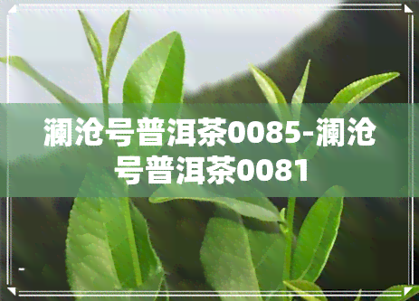 澜沧号普洱茶0085-澜沧号普洱茶0081