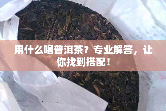 用什么喝普洱茶？专业解答，让你找到搭配！