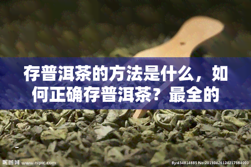 存普洱茶的方法是什么，如何正确存普洱茶？最全的存方法详解！