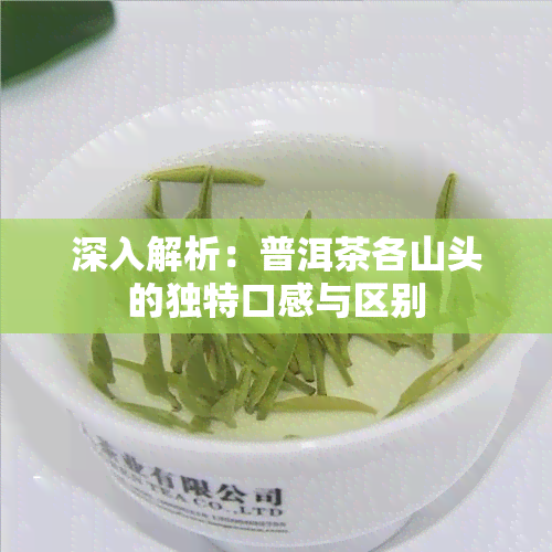 深入解析：普洱茶各山头的独特口感与区别