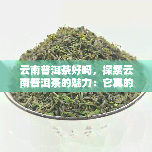 云南普洱茶好吗，探索云南普洱茶的魅力：它真的好吗？