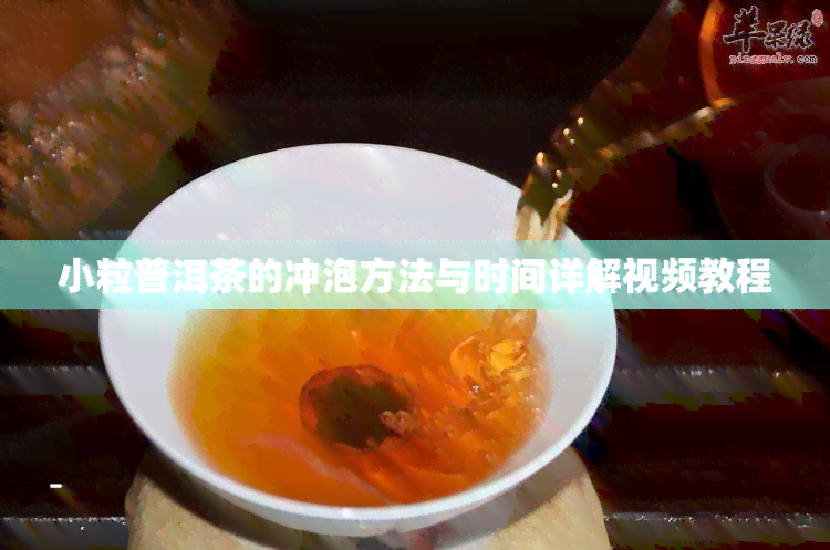 小粒普洱茶的冲泡方法与时间详解视频教程