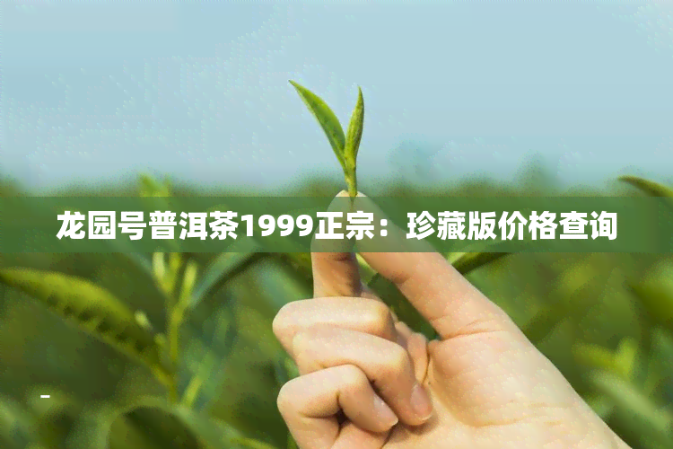 龙园号普洱茶1999正宗：珍藏版价格查询