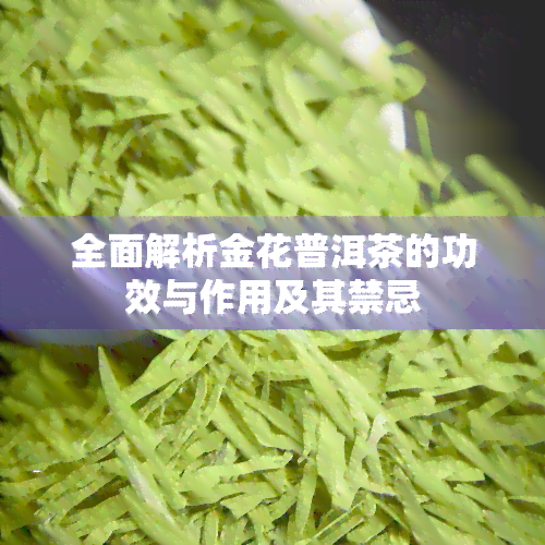 全面解析金花普洱茶的功效与作用及其禁忌