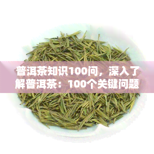 普洱茶知识100问，深入了解普洱茶：100个关键问题解答