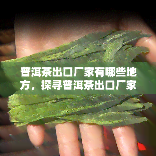 普洱茶出口厂家有哪些地方，探寻普洱茶出口厂家：哪些地方的企业在海外市场上占据优势？