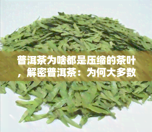 普洱茶为啥都是压缩的茶叶，解密普洱茶：为何大多数都采用压缩形式？