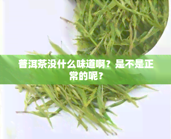 普洱茶没什么味道啊？是不是正常的呢？