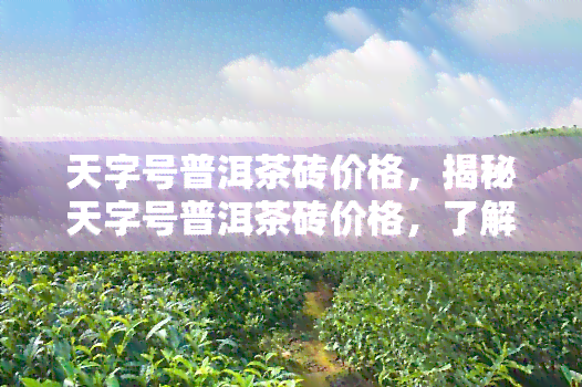 天字号普洱茶砖价格，揭秘天字号普洱茶砖价格，了解这款优质茶叶的真正价值！