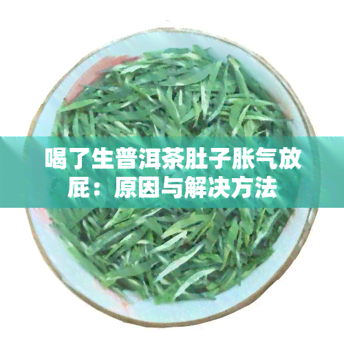 喝了生普洱茶肚子胀气放屁：原因与解决方法