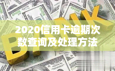 2020信用卡逾期次数查询及处理方法