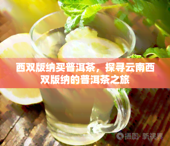 西双版纳买普洱茶，探寻云南西双版纳的普洱茶之旅