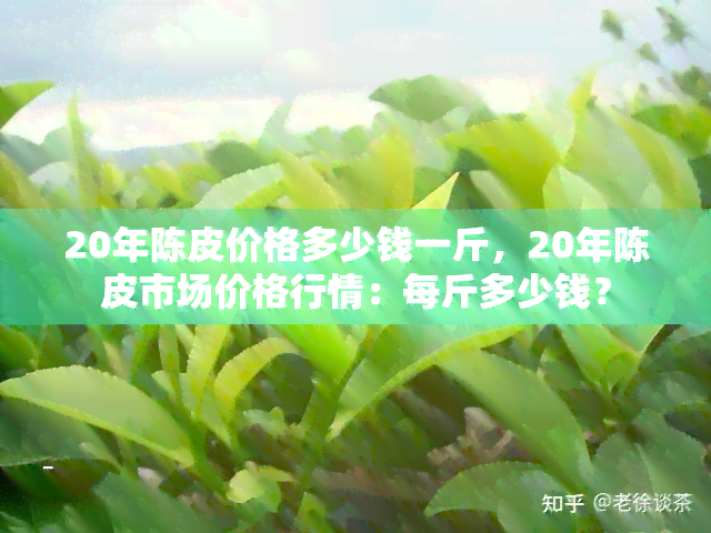 20年陈皮价格多少钱一斤，20年陈皮市场价格行情：每斤多少钱？