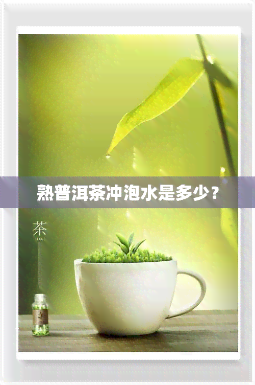 熟普洱茶冲泡水是多少？