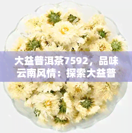 大益普洱茶7592，品味云南风情：探索大益普洱茶7592的独特魅力