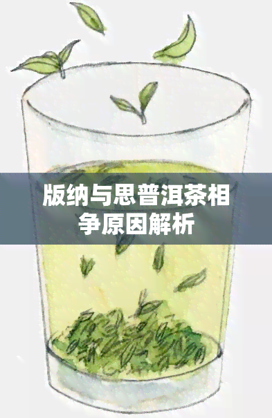 版纳与思普洱茶相争原因解析