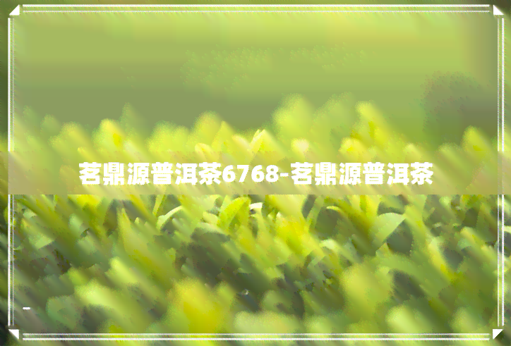 茗鼎源普洱茶6768-茗鼎源普洱茶