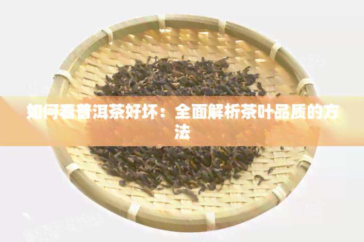 如何看普洱茶好坏：全面解析茶叶品质的方法