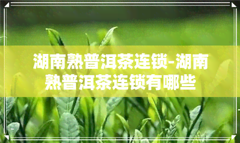 湖南熟普洱茶连锁-湖南熟普洱茶连锁有哪些