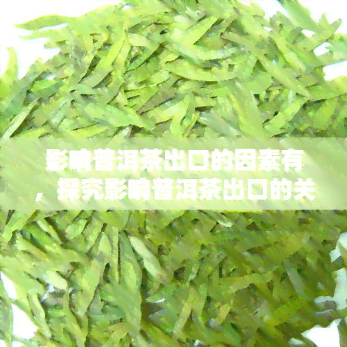 影响普洱茶出口的因素有，探究影响普洱茶出口的关键因素