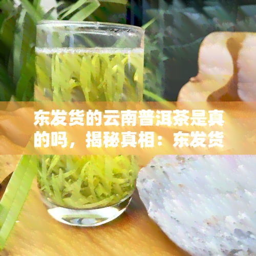 东发货的云南普洱茶是真的吗，揭秘真相：东发货的云南普洱茶，你买的是否为真货？