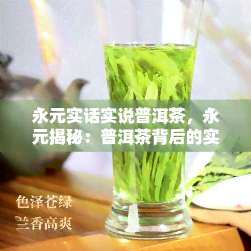 永元实话实说普洱茶，永元揭秘：普洱茶背后的实话实说