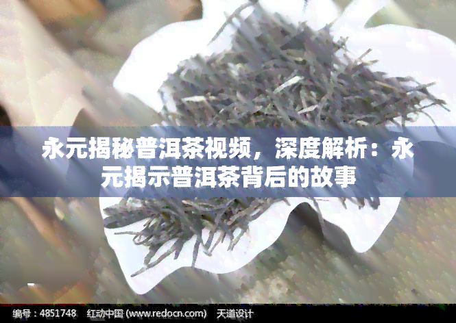 永元揭秘普洱茶视频，深度解析：永元揭示普洱茶背后的故事