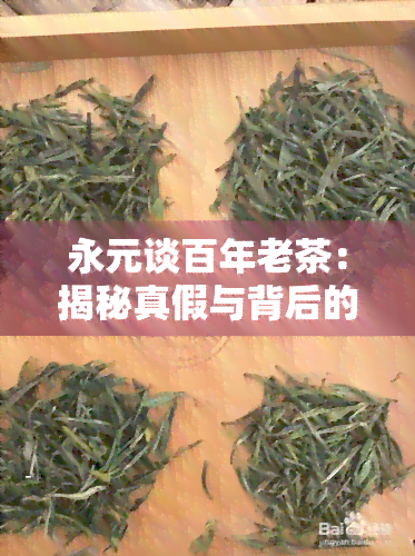 永元谈百年老茶：揭秘真假与背后的故事