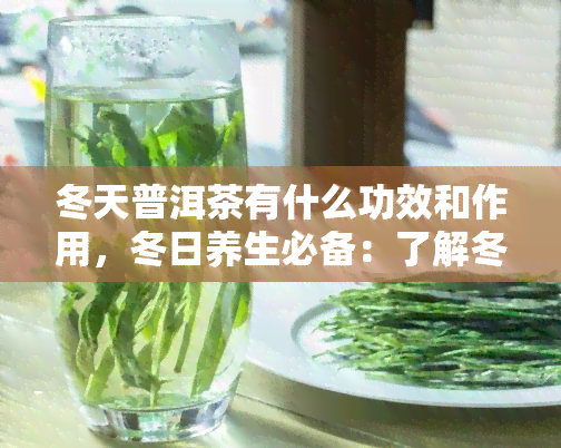 冬天普洱茶有什么功效和作用，冬日养生必备：了解冬普洱茶的神奇功效与作用