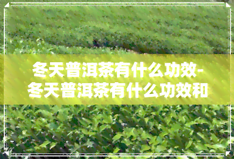 冬天普洱茶有什么功效-冬天普洱茶有什么功效和作用