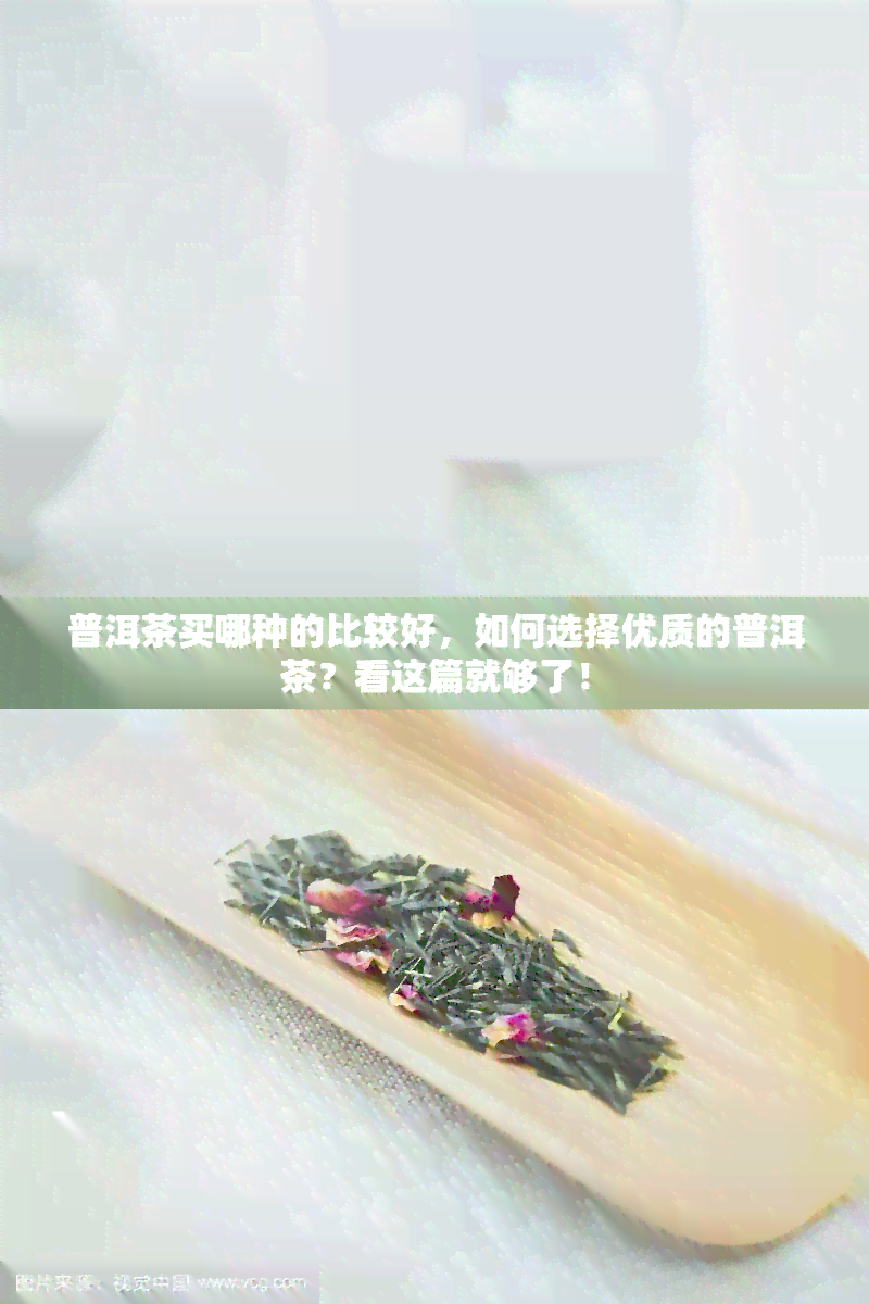 普洱茶买哪种的比较好，如何选择优质的普洱茶？看这篇就够了！