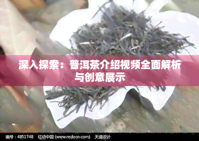 深入探索：普洱茶介绍视频全面解析与创意展示