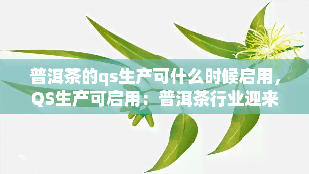 普洱茶的qs生产可什么时候启用，QS生产可启用：普洱茶行业迎来新变革