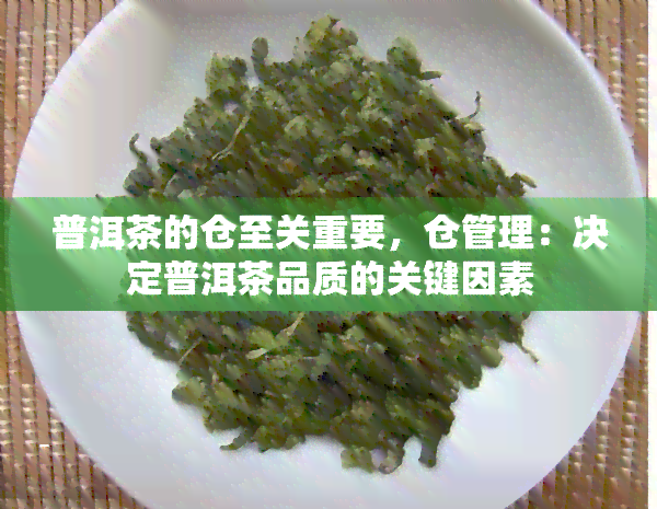 普洱茶的仓至关重要，仓管理：决定普洱茶品质的关键因素