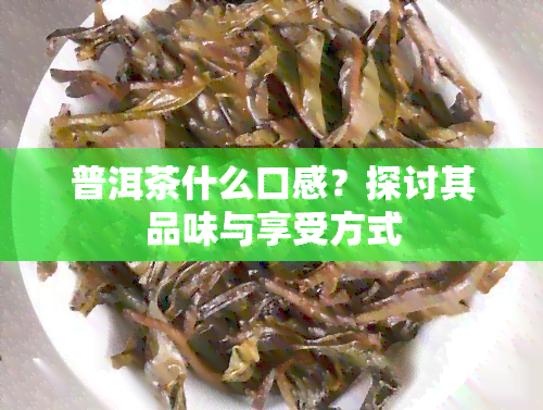 普洱茶什么口感？探讨其品味与享受方式