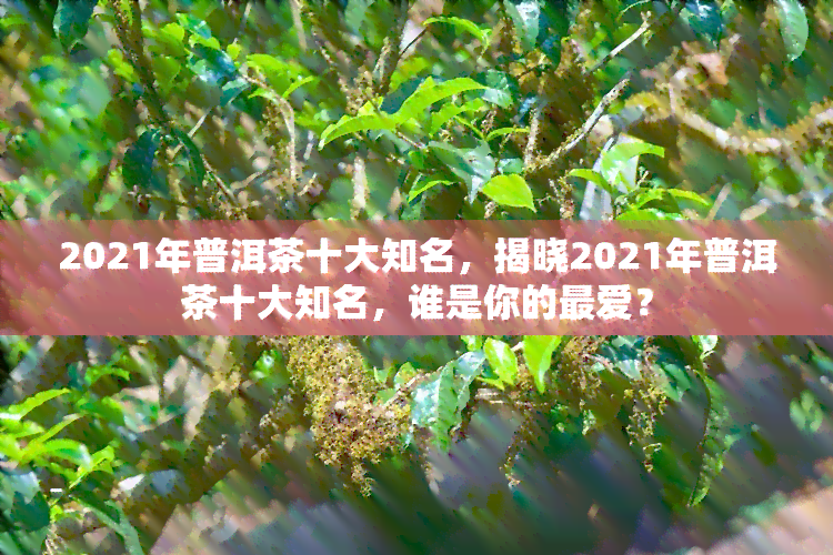 2021年普洱茶十大知名，揭晓2021年普洱茶十大知名，谁是你的更爱？