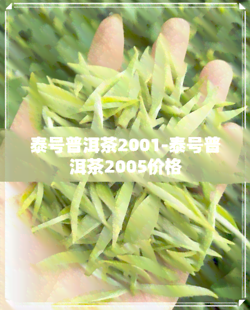 泰号普洱茶2001-泰号普洱茶2005价格