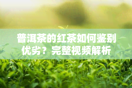 普洱茶的红茶如何鉴别优劣？完整视频解析