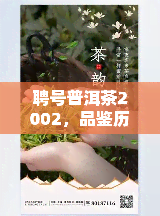 聘号普洱茶2002，品鉴历韵味：聘号2002年普洱茶的独特魅力