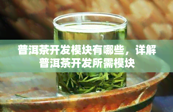 普洱茶开发模块有哪些，详解普洱茶开发所需模块