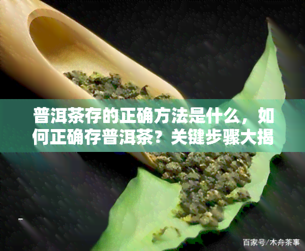 普洱茶存的正确方法是什么，如何正确存普洱茶？关键步骤大揭秘！