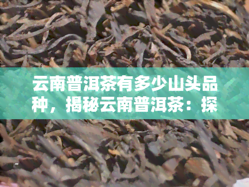 云南普洱茶有多少山头品种，揭秘云南普洱茶：探寻其丰富的山头品种