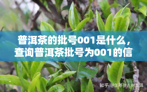 普洱茶的批号001是什么，查询普洱茶批号为001的信息